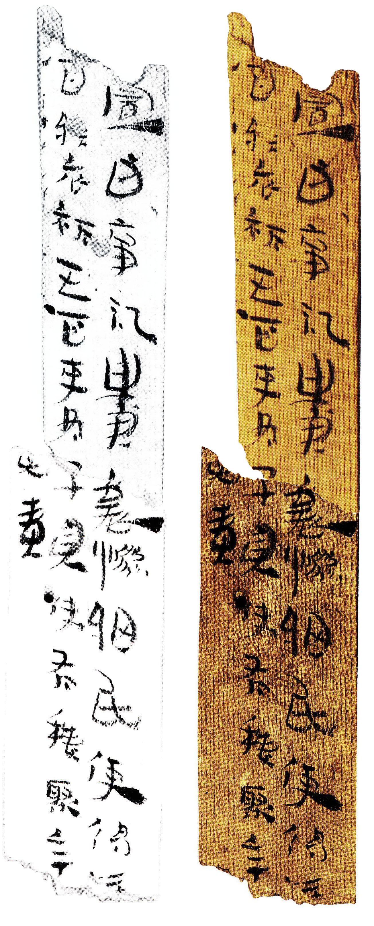 Ⅱ90DXT0114④：267+Ⅱ90DXT0115④：70.jpg