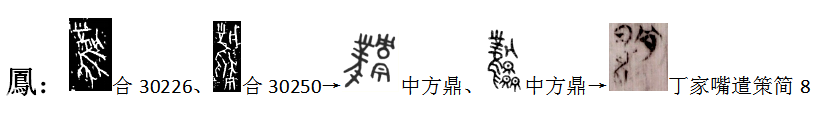 凤.png