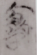 造1.png