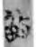 075418yx7b5rrx1x5r71x1.png