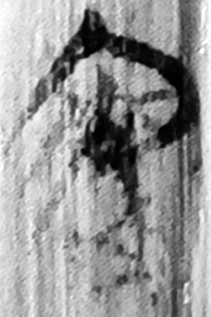 圖1.png