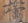 蘆2-159.png