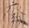 癈1-55.png