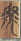 虎.png