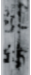 1750144282858.png