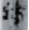 1750145132013.png