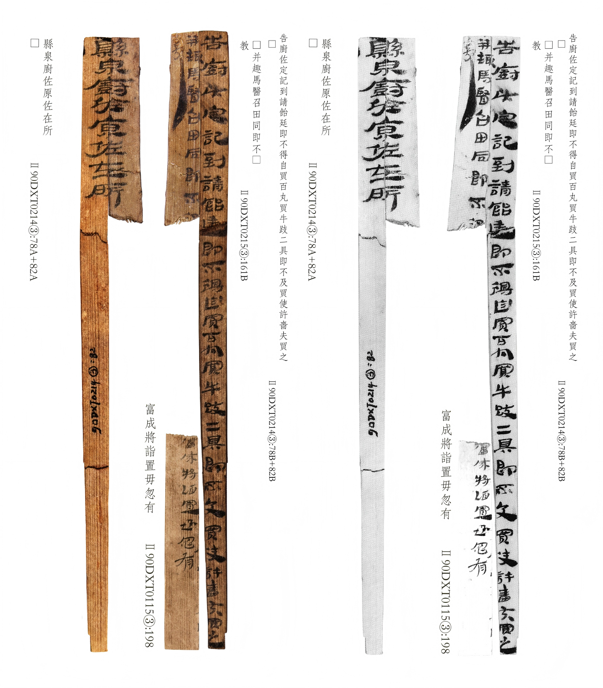 縣泉廚佐原佐在所.png