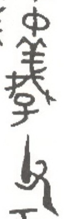 疑尊器底铭文摹本（董珊先生作）