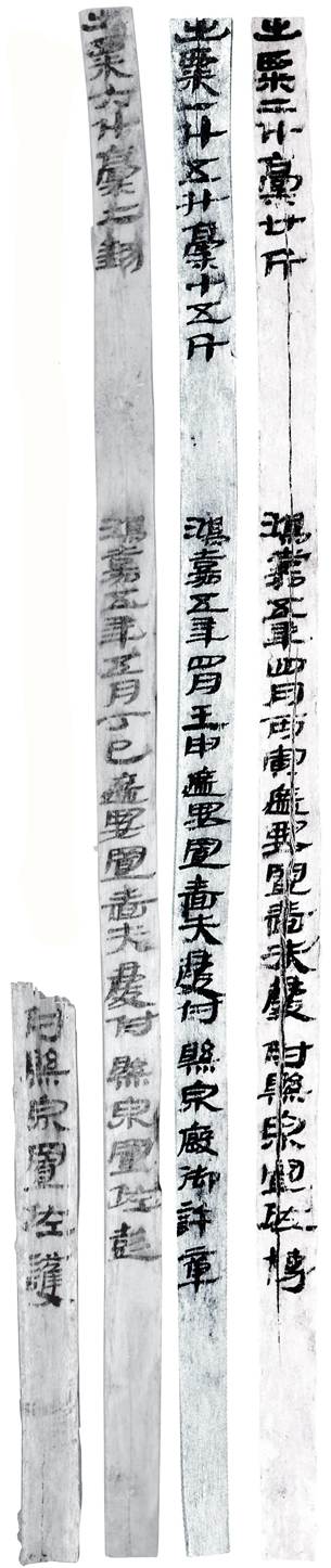 鴻嘉五年遮要置付懸泉置糧草出入簿